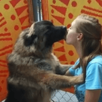 Cirkled In Kaitlyn Taylor Scholarship Winner